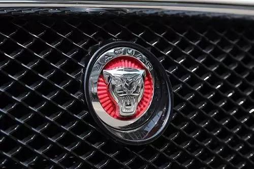 車標(biāo)上的動物都是啥來頭？看完又能出去裝X了