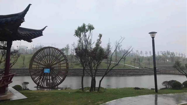 周口：春節(jié)，來這些游園嗨皮吧