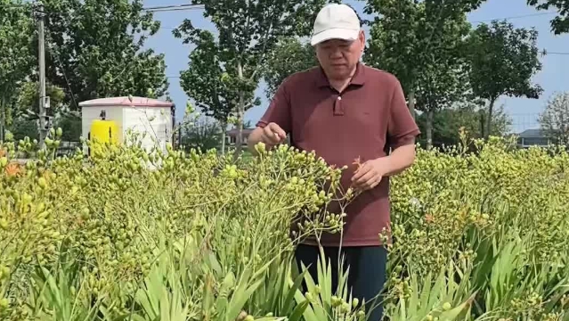 “大校農(nóng)民”劉金良：“戎”歸故里反哺桑梓助振興